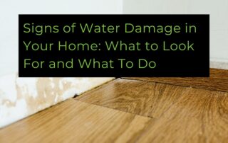 signs of water damage