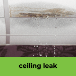 web - fire damage restoration