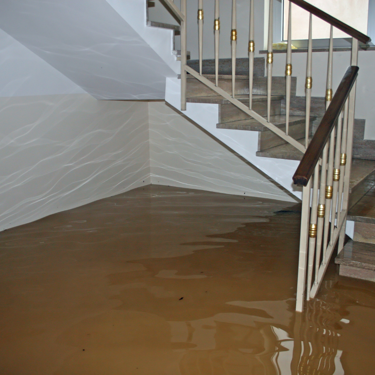 basement with flood water