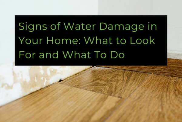 Signs of Water Damage in Your Home: What to Look For and What To Do