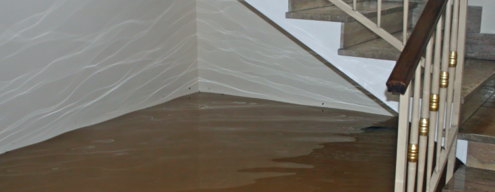 basement with flood water
