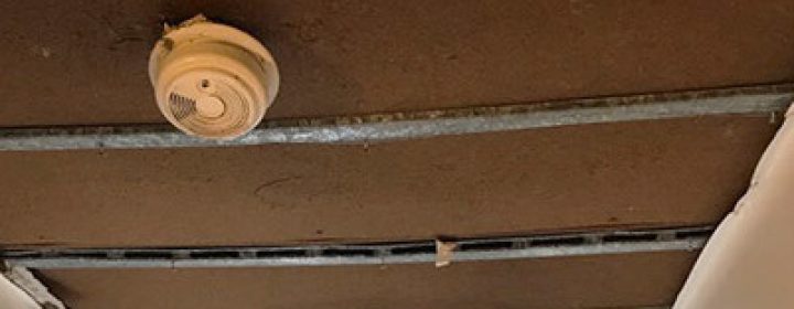 mold-ceiling-401x480